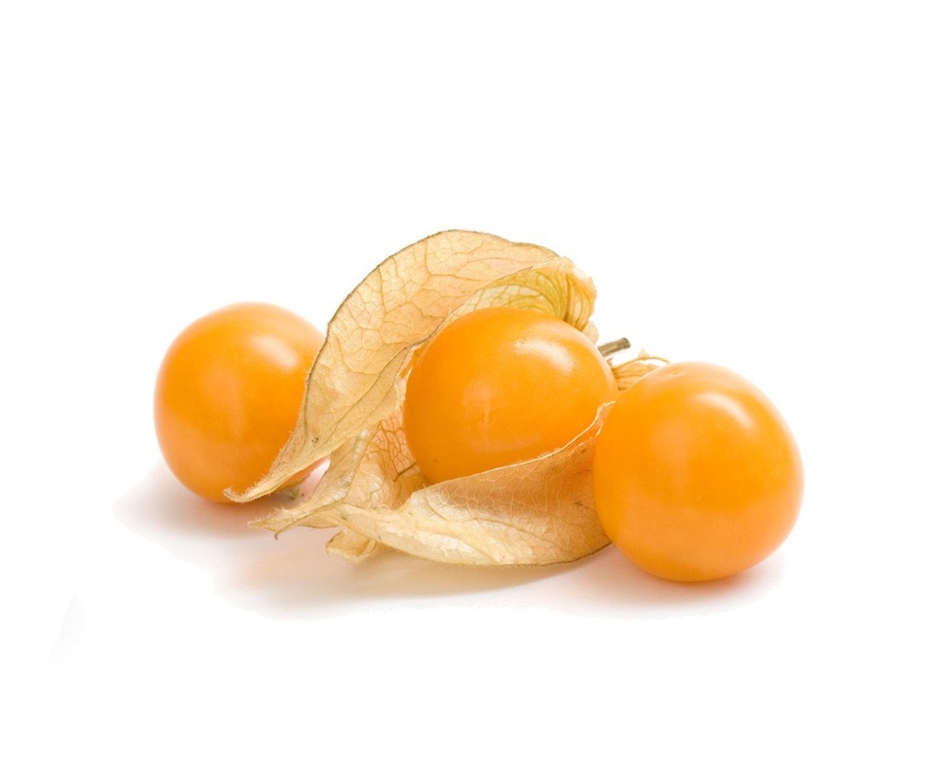 Physalis