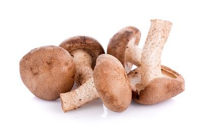 Shiitake  500gr