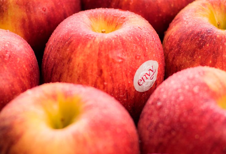 MANZANA  ROYAL GALA 1 KG