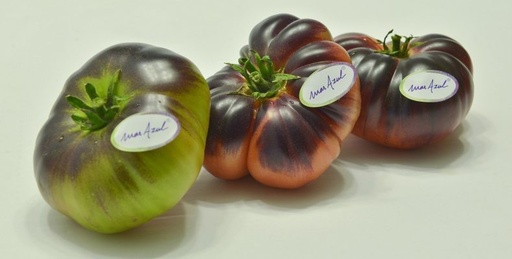 [703] Tomate mar azul 1 kg